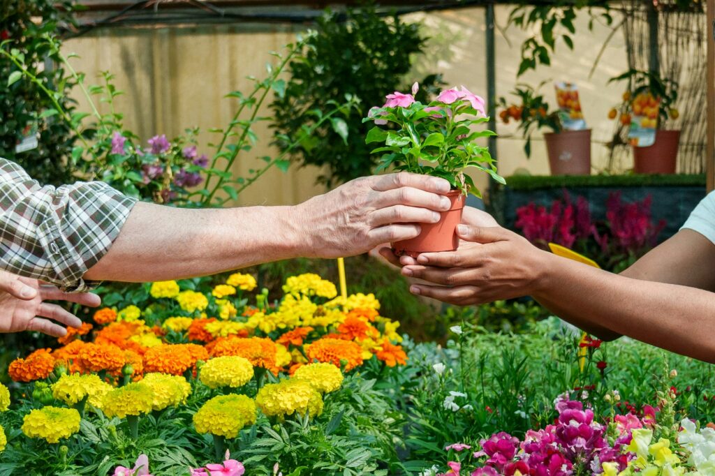 Unrecognizable Senior Caucasian Worker Gifting Potted Plant to Young African Customer