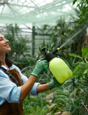 Young woman gardener caring plants treating flowers with chemicals