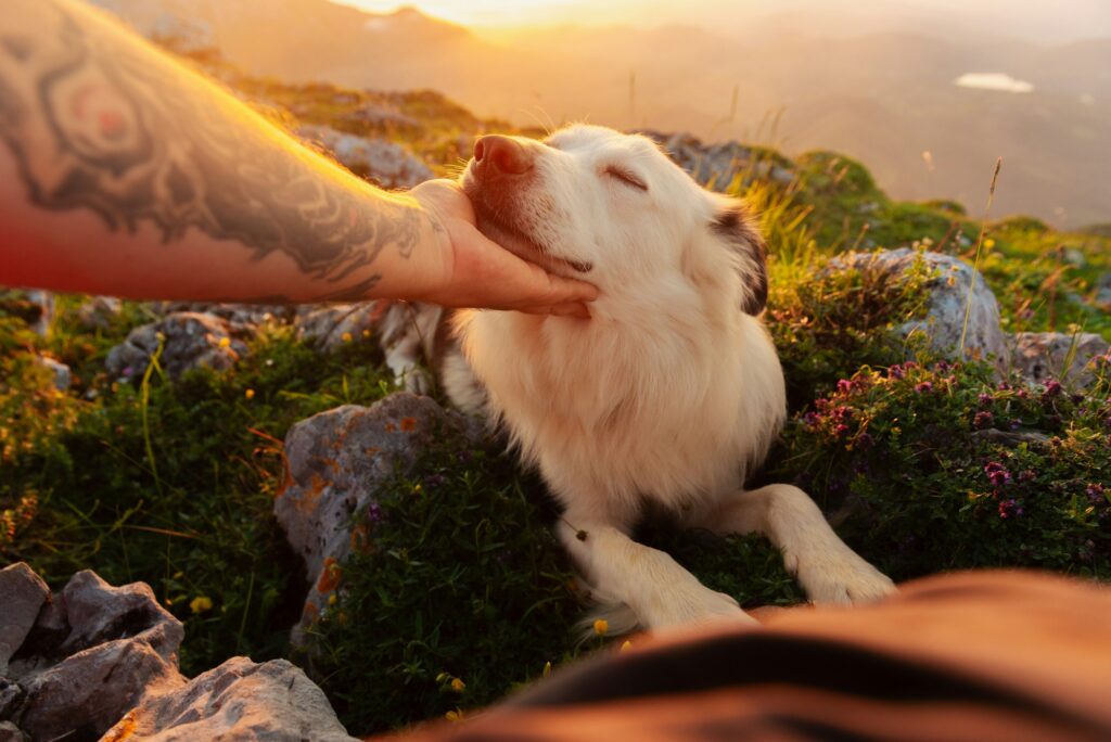 man petting his dog